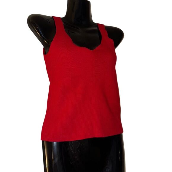 Lauren Ralph Lauren Tops - Lauren by Ralph Lauren Women's Petite Red V-Neck Tank Top Size S Black Label